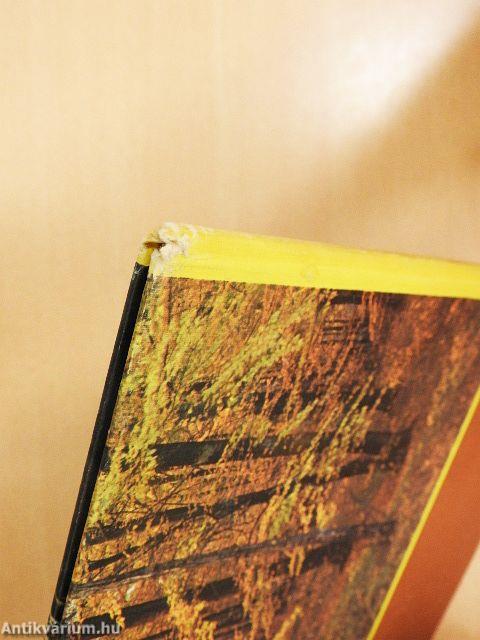 Sok szerencsét, Hengergőc!