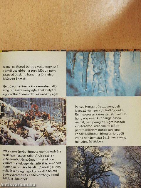 Sok szerencsét, Hengergőc!