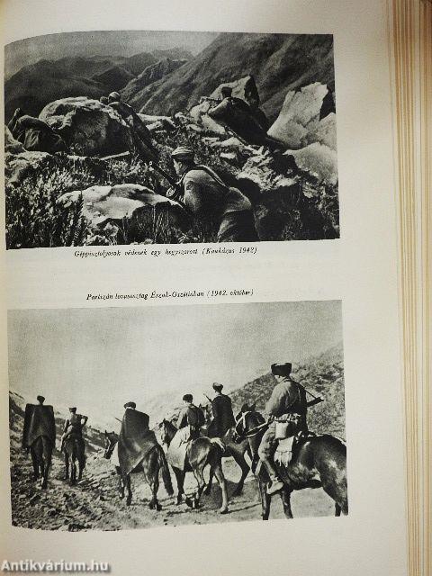 A Nagy Honvédő Háború története 2.