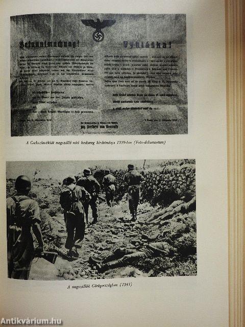 A Nagy Honvédő Háború története 1.