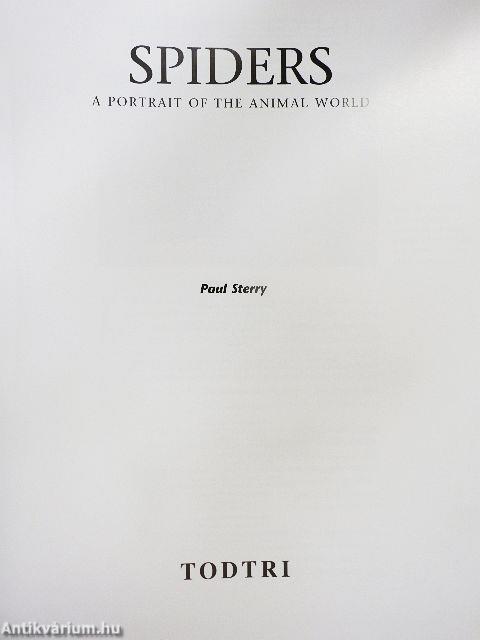 Spiders