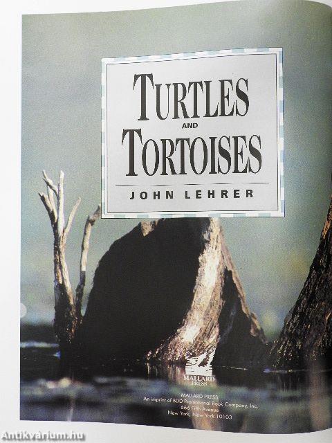 Turtles and Tortoises