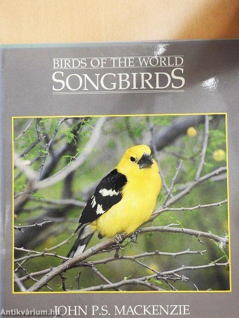 Songbirds