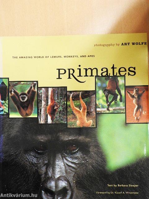 Primates