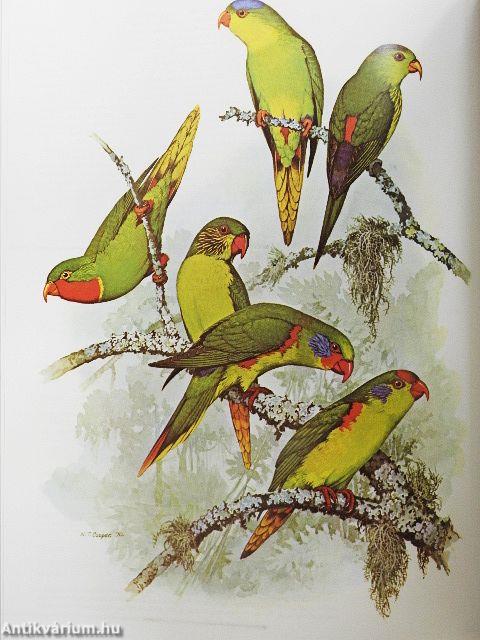 Parrots of the World