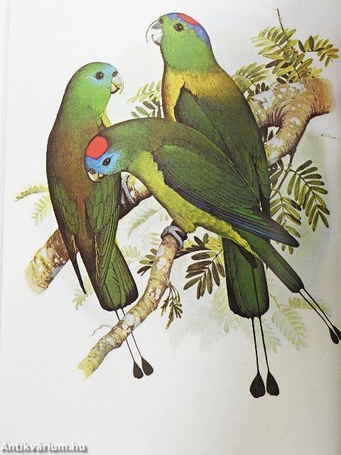 Parrots of the World