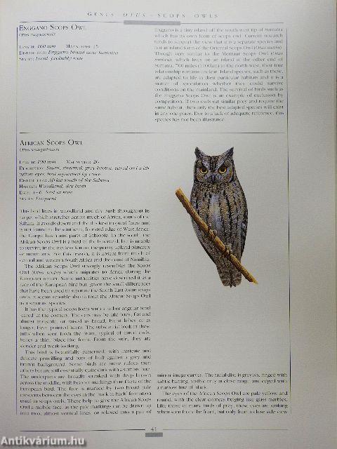 Owls of the World