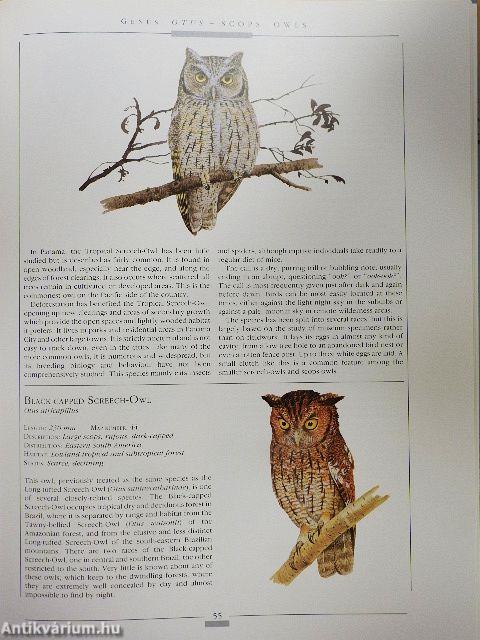 Owls of the World