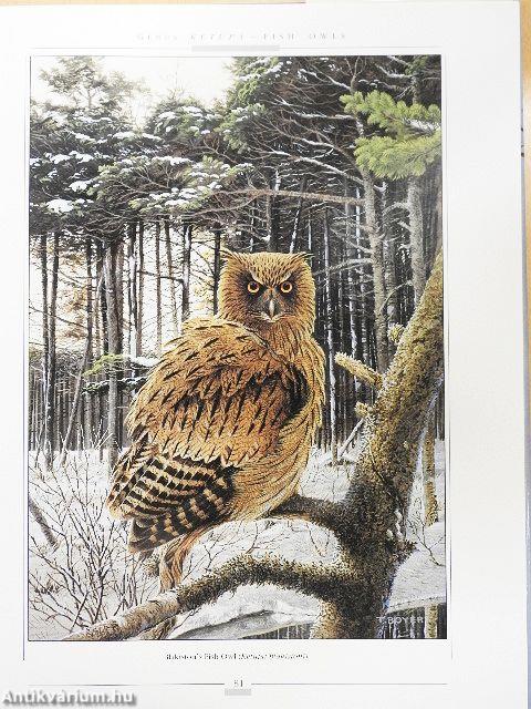 Owls of the World