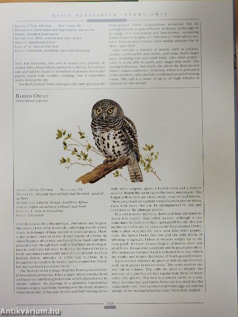 Owls of the World