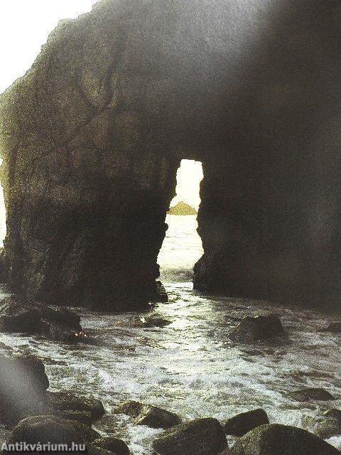 Marvels of the coast