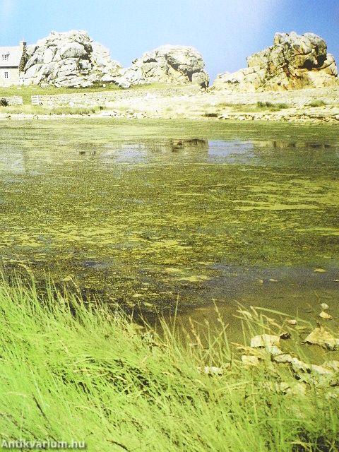 Marvels of the coast