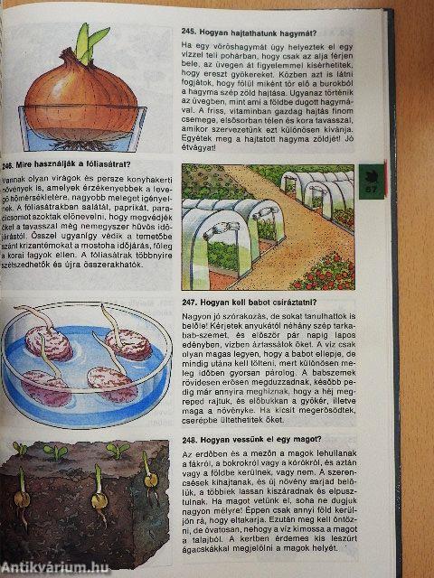 Minden napra egy kérdés