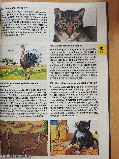 Minden napra egy kérdés