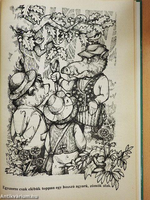 Mackó úr újabb utazásai