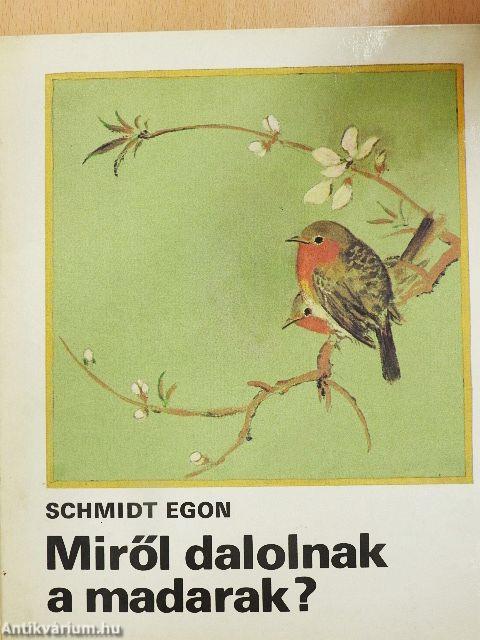 Miről dalolnak a madarak?