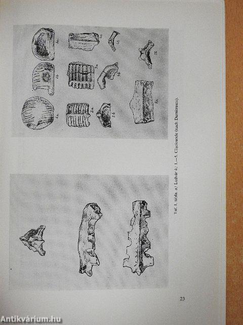 Acta Antiqua et Archaeologica Tomus X.