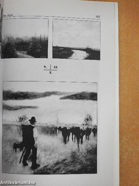 A Szabadkai Városi Múzeum Évkönyve 2003