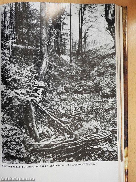 Magyarország barlangjai