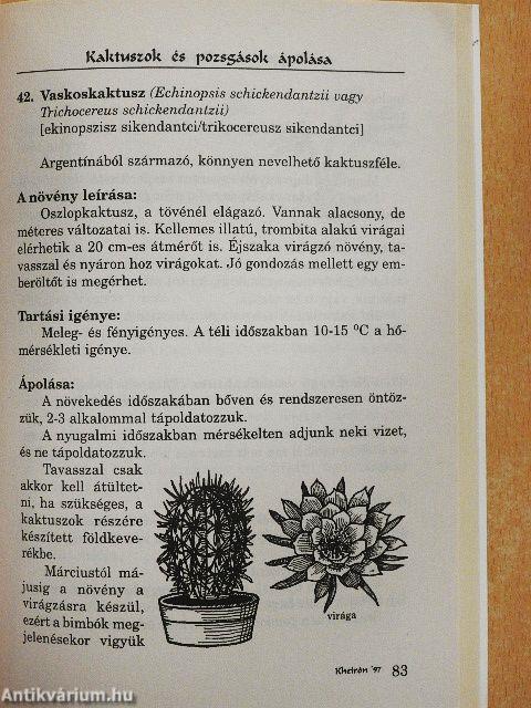 Kaktuszok és pozsgások ápolása