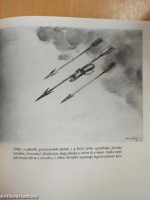 A Gyulai vár krónikája