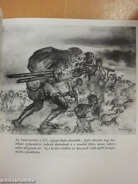 A Gyulai vár krónikája