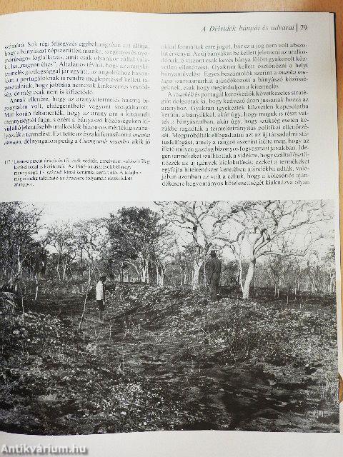 Afrikai királyságok