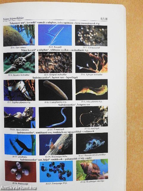 Az édesvizek és védelmük