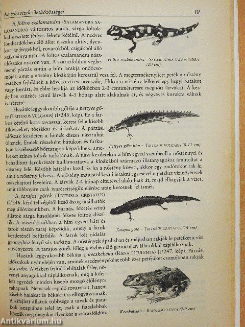 Az édesvizek és védelmük