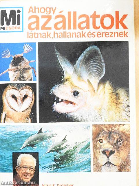 Ahogy az állatok látnak, hallanak és éreznek