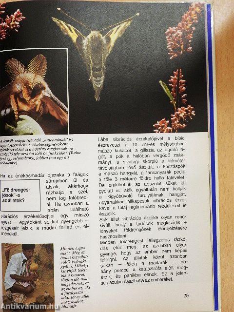 Ahogy az állatok látnak, hallanak és éreznek