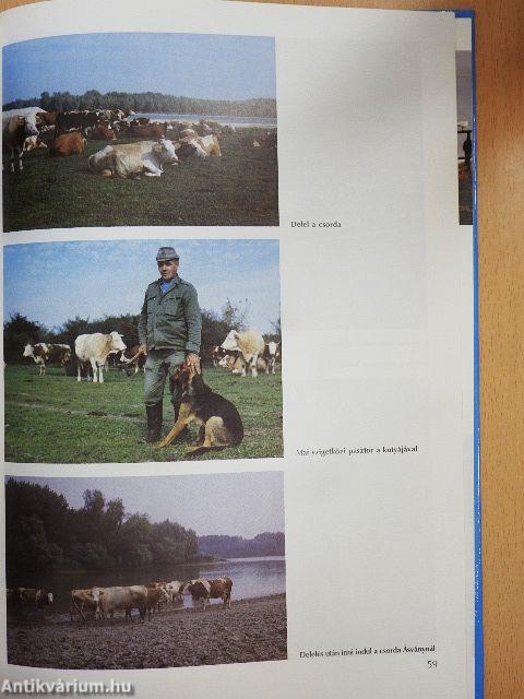 Ezer sziget országa