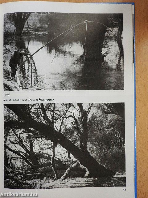 Ezer sziget országa