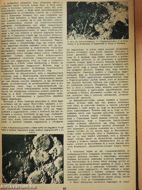 Természettudományi Közlöny 1966. január-december