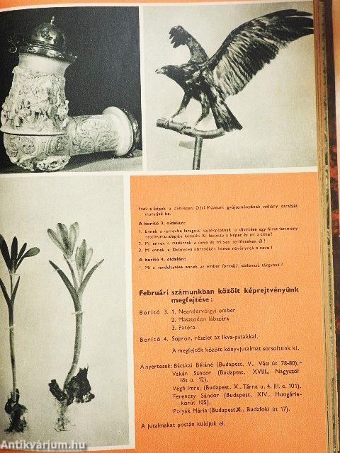 Természettudományi Közlöny 1964. január-december