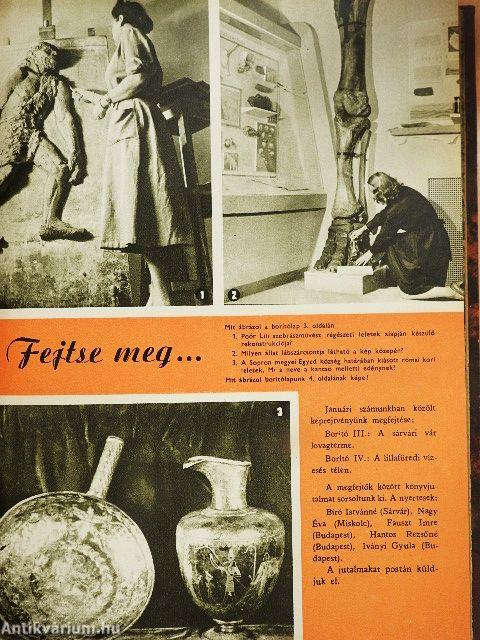 Természettudományi Közlöny 1964. január-december