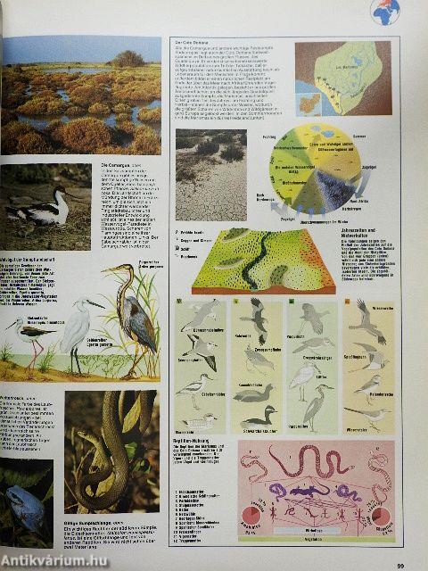 Grosser Atlas des Tierlebens