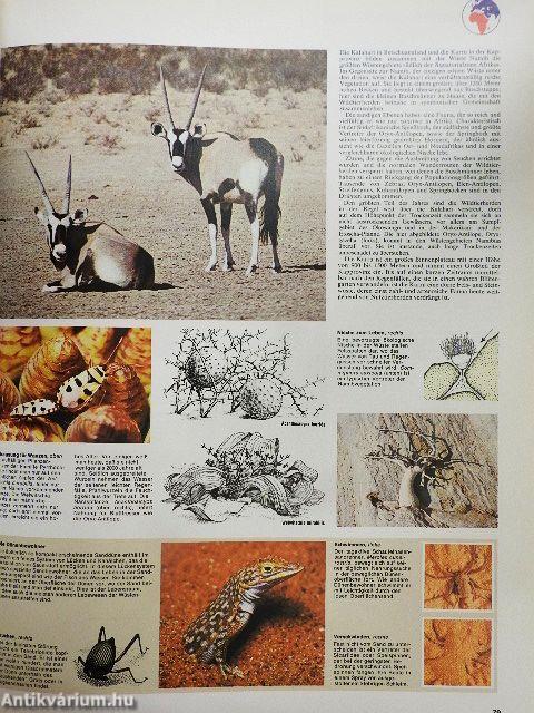 Grosser Atlas des Tierlebens