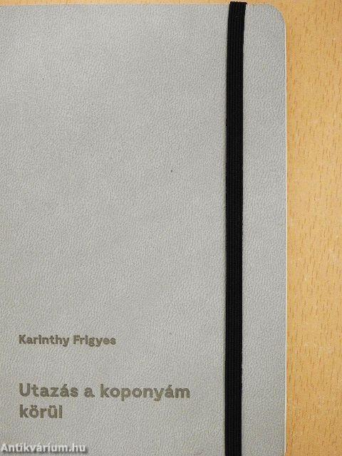 Utazás a koponyám körül