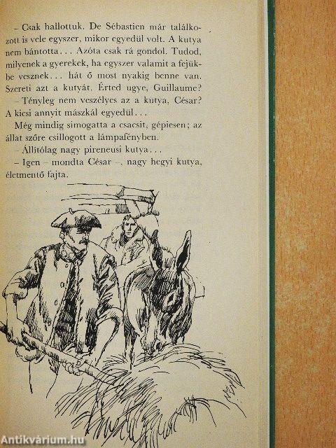 Belle és Sébastien