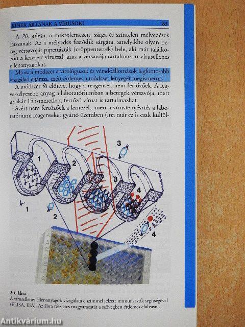 Kinek ártanak a vírusok?