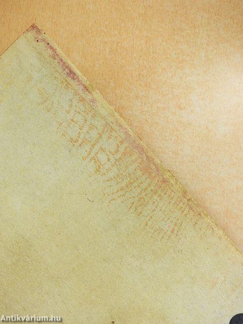 A M. Kir. Erzsébet Tudományegyetem tanrendje az 1933-34. tanév első felére