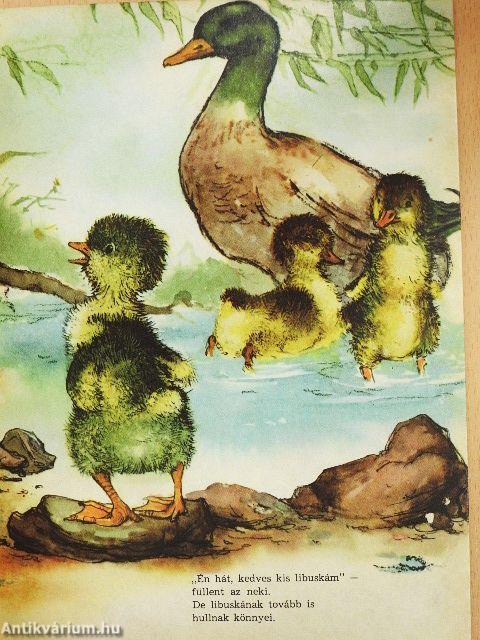 Az elveszett kisliba