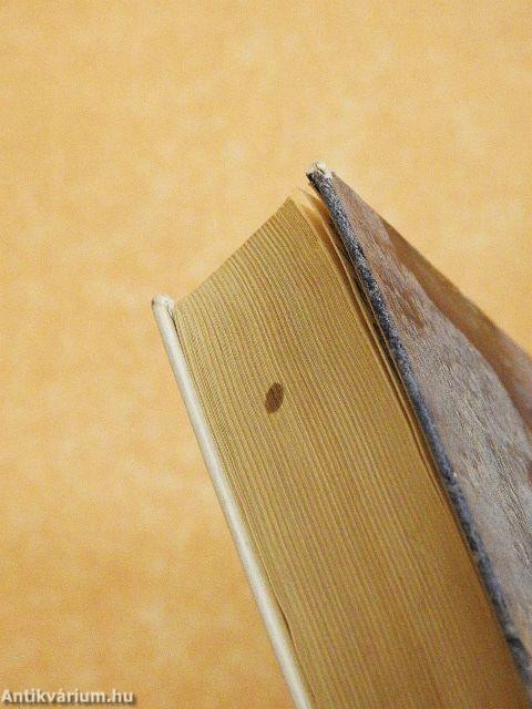 A gyógyítás világa