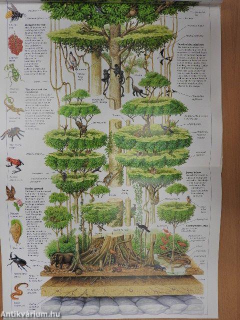 Richard Orr's Nature Cross-Sections