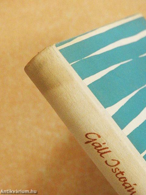 Kétpárevezős szerelem