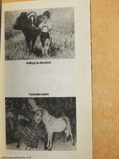 Kis magyar lovaskönyv