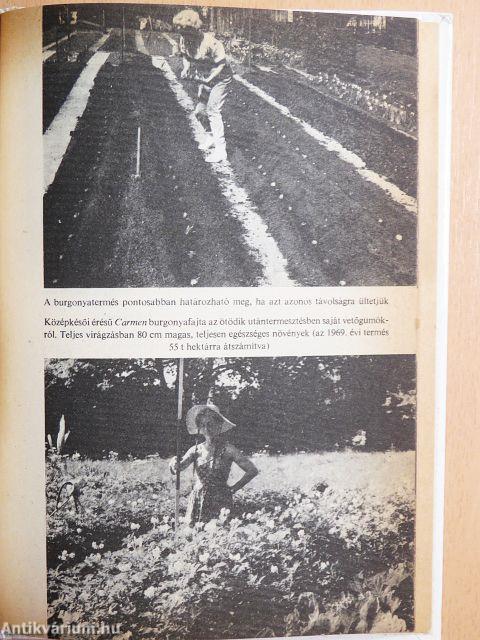 Kertészkedés "mérgek" nélkül