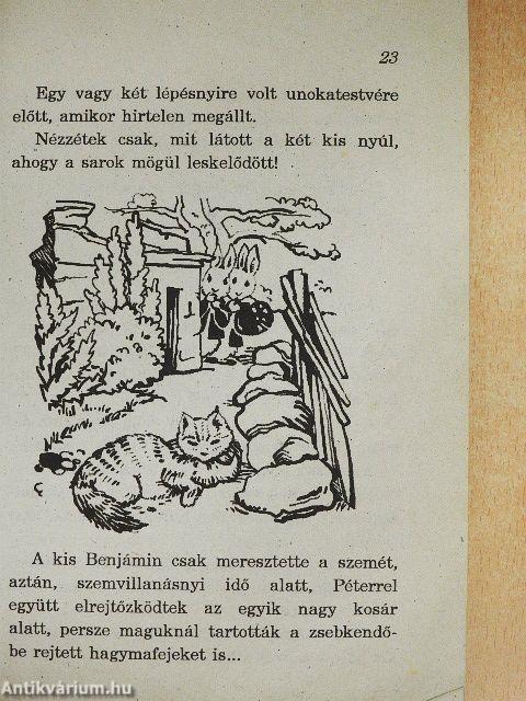 Nyúl Péter és barátai