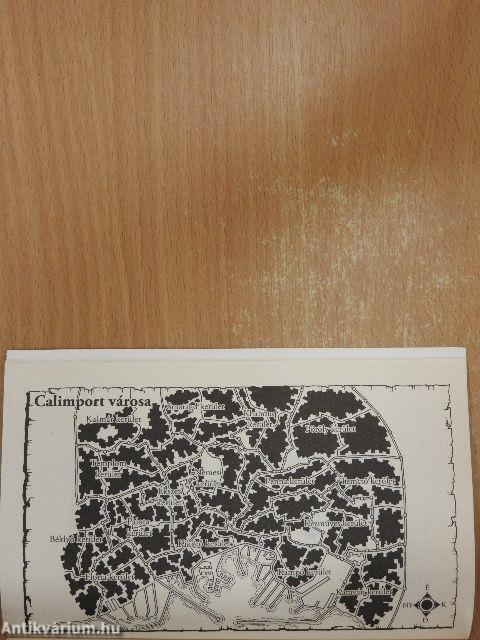 A Szilánk szolgája